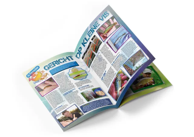 Stekkie Magazine 2 Stekkie