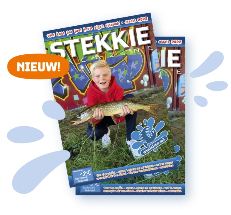 Laatste versie Stekkie Magazine