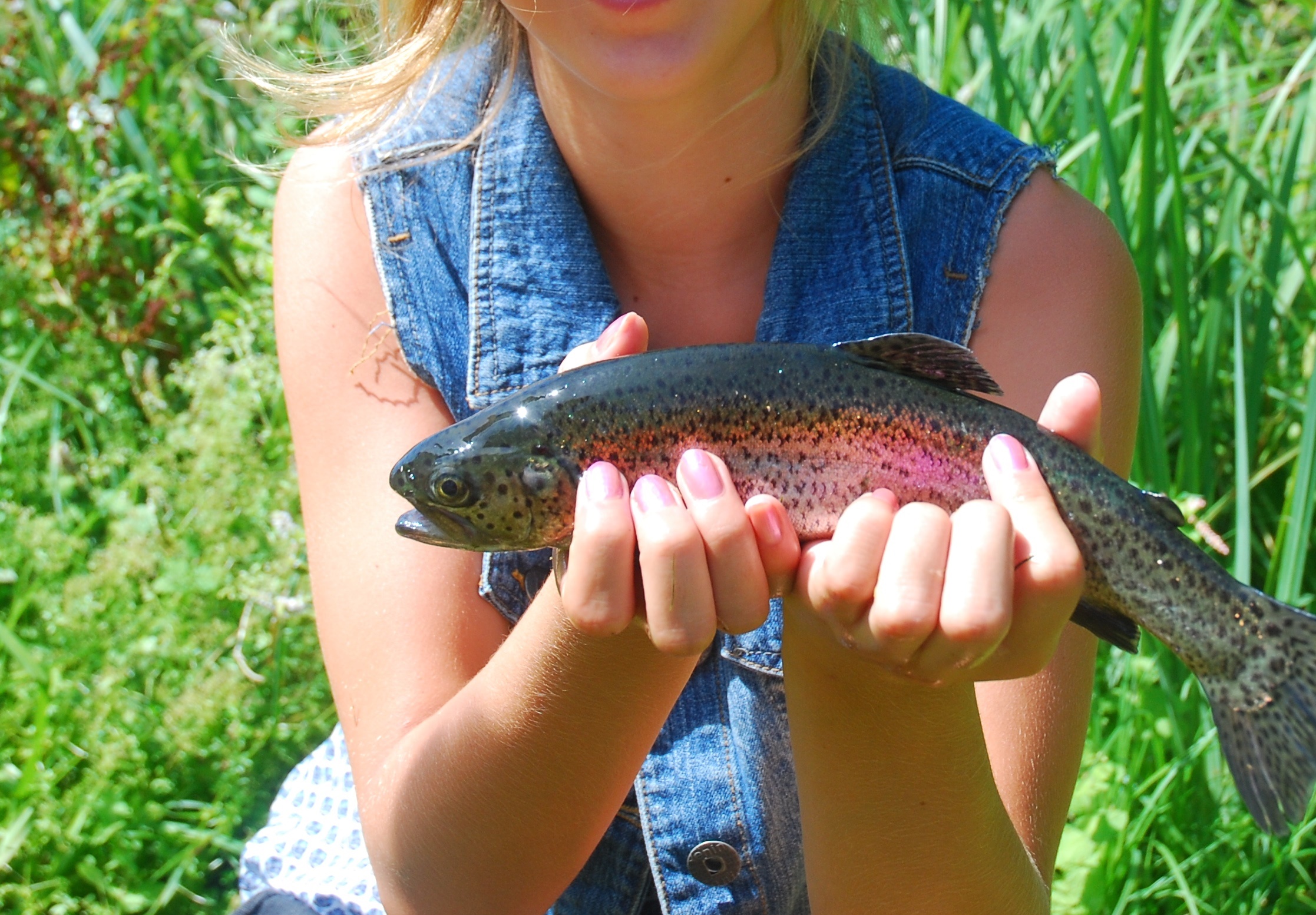 De beste vangstfoto's maken 14 Slechte vangstfoto dichtbij