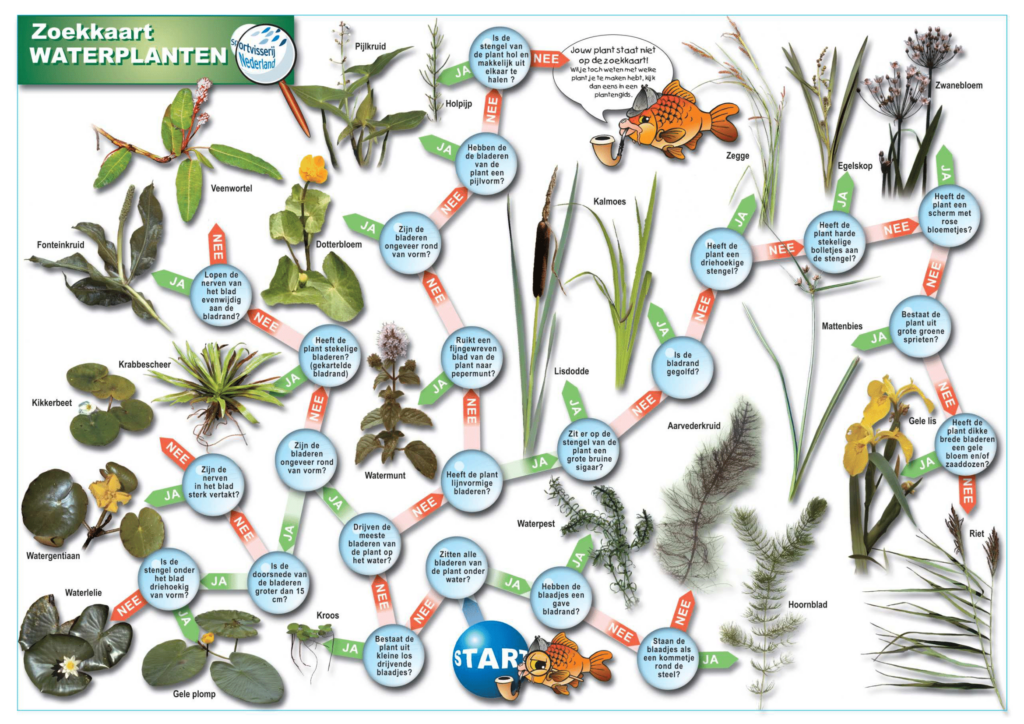 Info voor docenten 2 Zoekkaart waterplanten